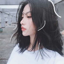 小玫瑰花彩色玻璃冒险汉化版下载